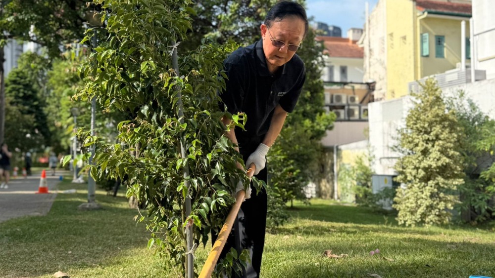 100 Tree Movement